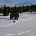 Schneeschuhwandern (20090104 0023)